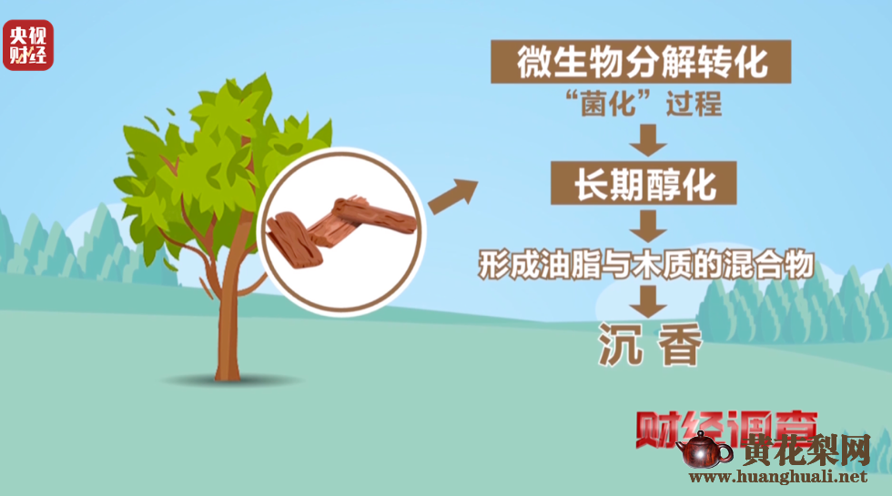央视《财经调查》揭秘“直播间”假沉香